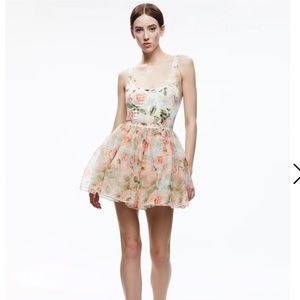 Alice + Olivia Morningside Floral fit and flair dress